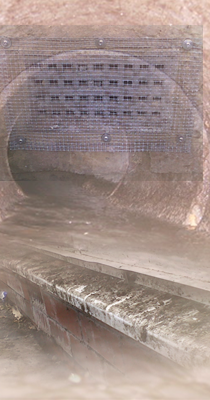 stop rats entering your house